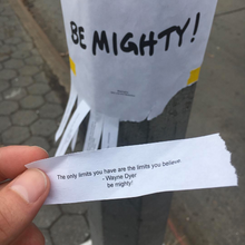 Load image into Gallery viewer, BE MIGHTY Flyer #46
